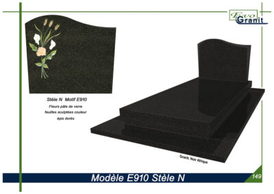 MODELE E910 STELE N