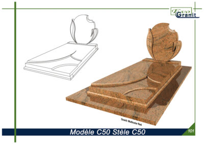 MODELE C50 STELE C50
