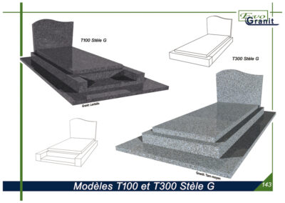 MODELE T100 ET T300 STELE G