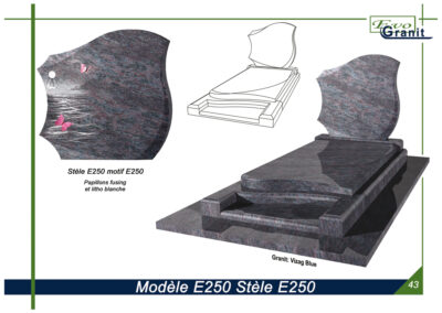 MODELE E250 STELE E250